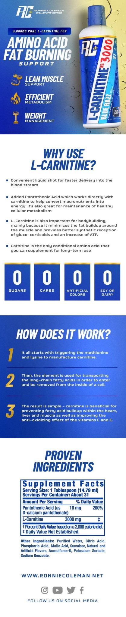 Ronnie Coleman Signature Series L - Carnitine 3000 Mg Liquid (31 Servings) - CHETHAN SUPPS.77