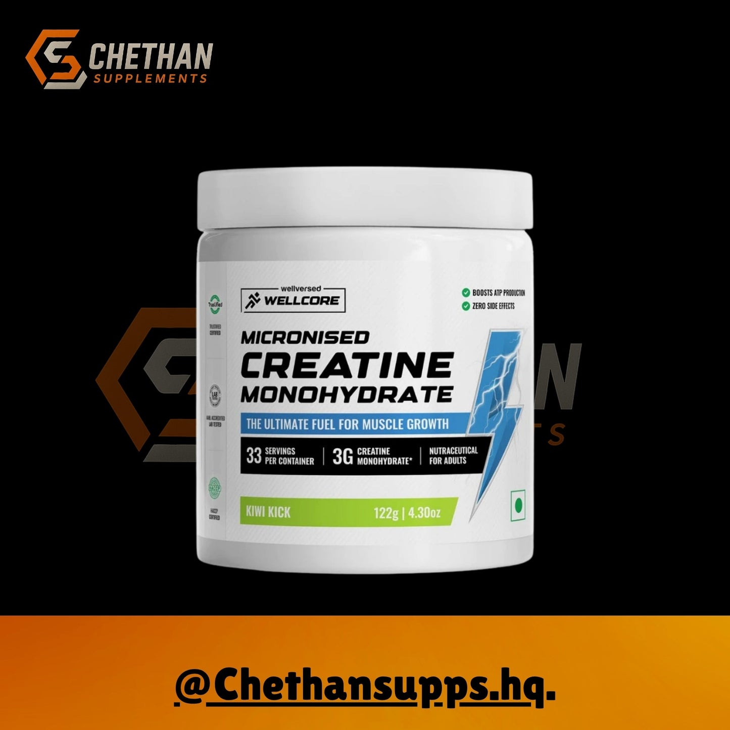 Wellcore - Micronised Creatine Monohydrate (100g, 33 Servings) - CHETHAN SUPPS.77