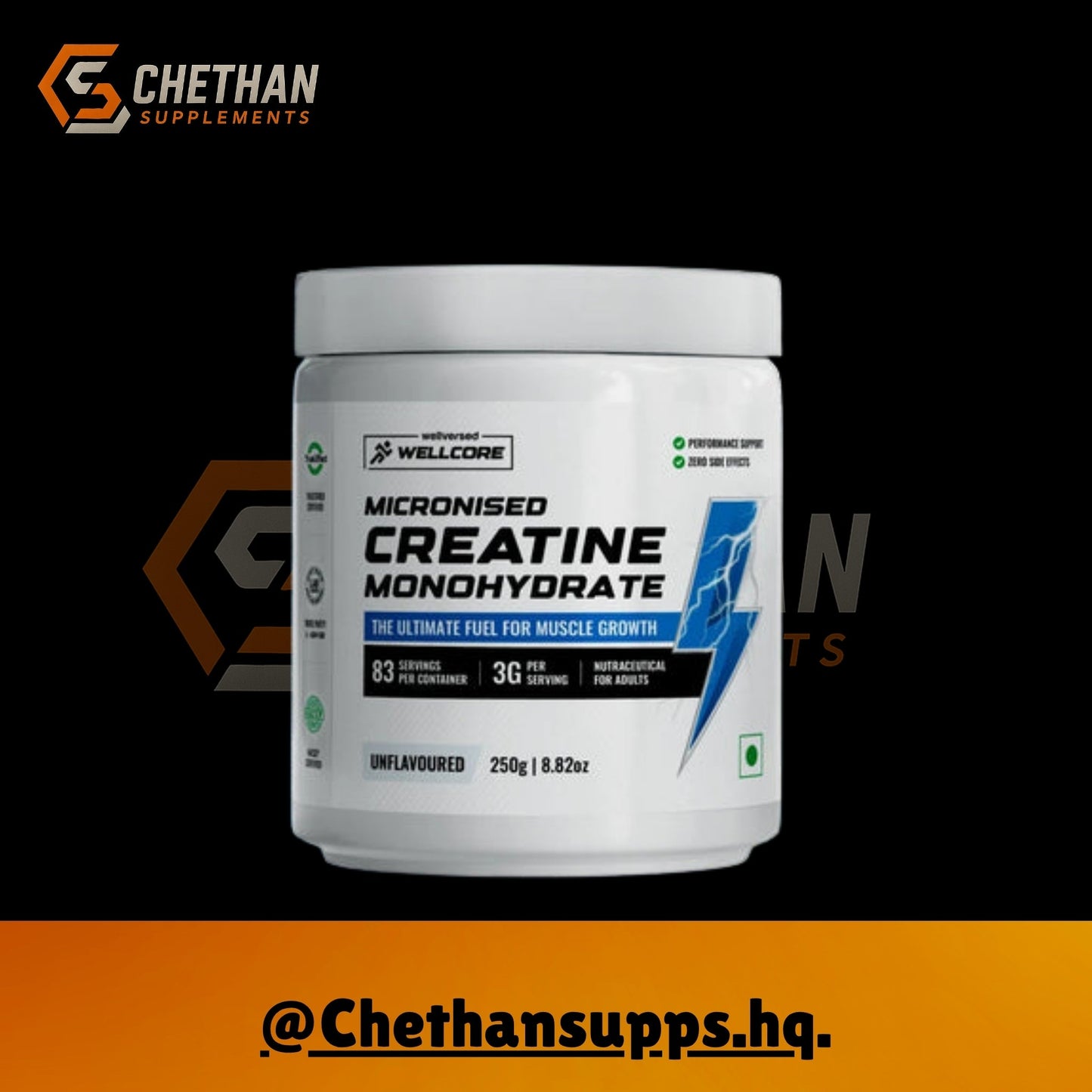 Wellcore - Micronised Creatine Monohydrate (100g, 33 Servings) - CHETHAN SUPPS.77