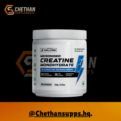 Wellcore - Micronised Creatine Monohydrate (100g, 33 Servings) - CHETHAN SUPPS.77
